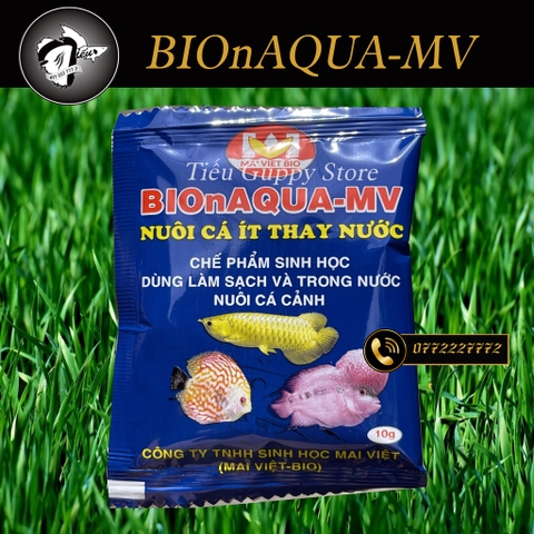 Men vi sinh BIOnAQUA-MV nuôi cá ít thay nước, làm trong nước bể cá
