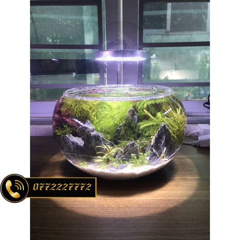 Đèn Led Kẹp Hồ Cá Thuy Sinh E-310