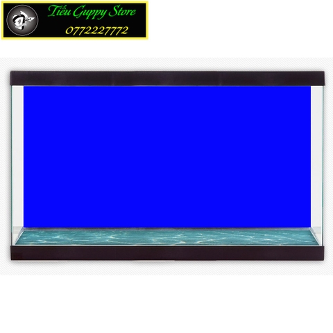 Decal Dán Bể Cá, Dán Nền Hồ Cá Cảnh (Khổ 60cm)