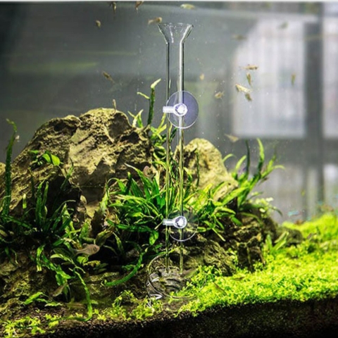 Bộ Ống Chén Thủy Tinh Cho Tép Ăn - Có 3 Kích Thước 25cm - 30cm - 35cm