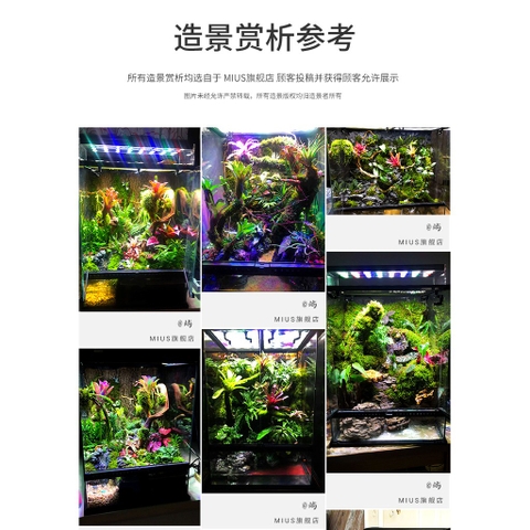 FOAM MIUS Tạo Hình Bố Cục, Background Hồ Bán Cạn, Keo Xịt Tạo Khối Cho Hồ, Tường Rêu