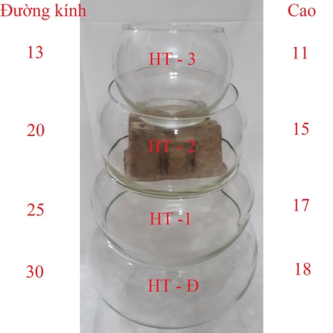 Hồ Cá Tròn Thủy Tình - Thích Hợp Để Bàn Làm Việc và Nơi Diện Tích nhỏ