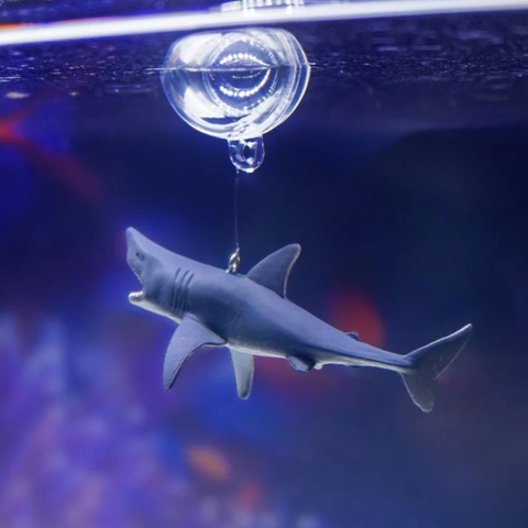 Mô Hình Cá Mập kèm Bong Bóng Nổi trên mặt nước – Phụ kiện độc đáo giúp bể cá thêm sinh động, đáng yêu và thu hút