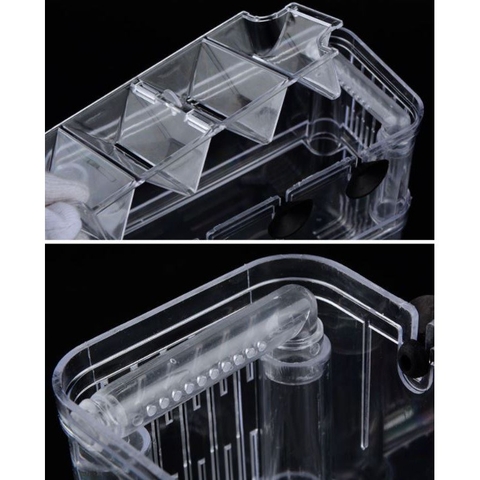 Lồng Đẻ Mica Cho Cá Guppy, Cá Mún, Cá Cảnh Nhỏ....