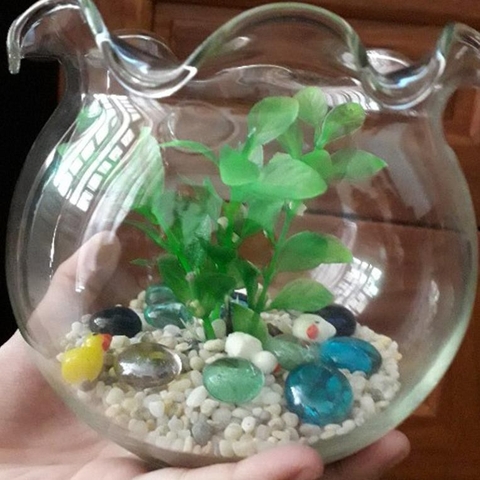 Hồ Cá Thủy Tinh, Bể Cá Thủy Tinh Miệng Bèo - Trang Nhã, Tinh Tế, Thích Hợp Trang Trí Ko Gian Nhỏ