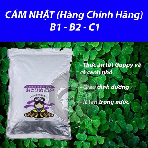 Cám Nhật B2 Chuyên dụng cho cá Guppy và cá cảnh nhỏ (bao lớn)