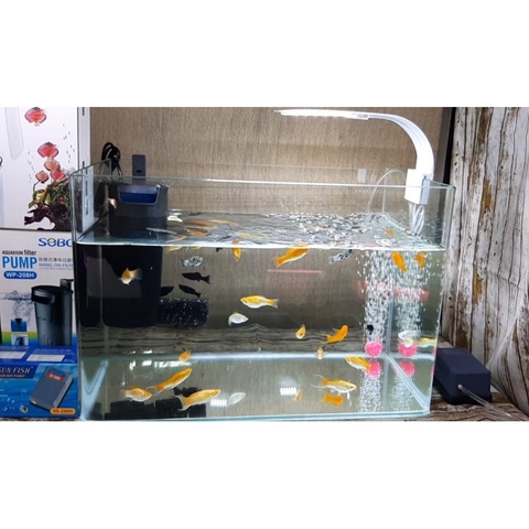 Lọc Thác Đứng cho Hồ Cá Sobo WP 108h WP 208h