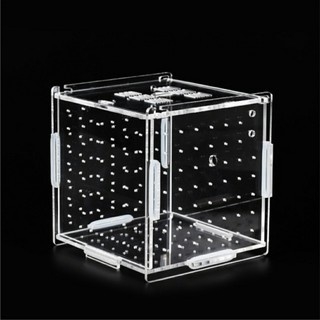 Box Tép và Lồng Dưỡng Cá bằng Mica Siêu Trong - KT: 10x10x10 và 20x10x10cm