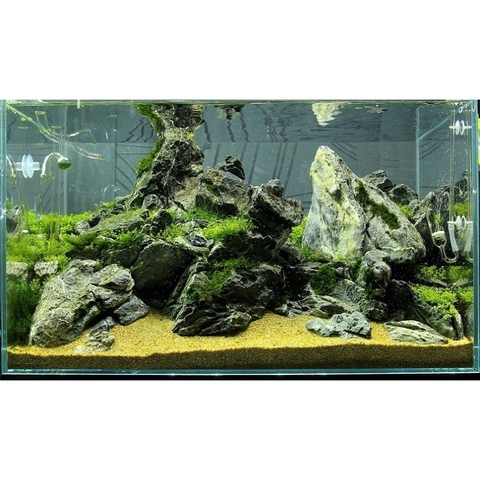 Cát Nắng Vàng Trải Nền Bể Thuỷ Sinh | Cát Trang Trí Bể Cá Cảnh, Thuỷ Sinh