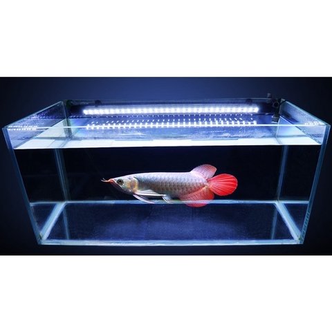 Đèn Led XML Cao Cấp 2 Hàng Bóng cho Hồ Cá Rồng