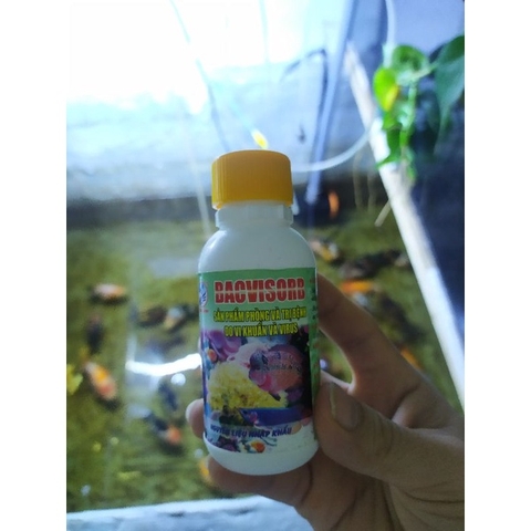 BACVISORB - Phòng và Hỗ Trợ Cá Bị Virus, Vi Khuẩn