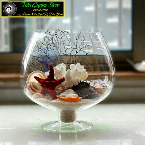 Bể Cá Thủy Tinh Hình Dạng Ly Có Chân - Kiểu Dáng Đẹp, Tinh Tế, Phù Hợp Trang Trí