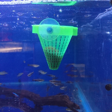 Phểu Đựng Trùng Chỉ, Rổ Cho Ăn Trùng Chỉ