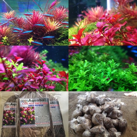 Cốt Nền Hồ Thuỷ Sinh Aqua-NUPHAR 1kg