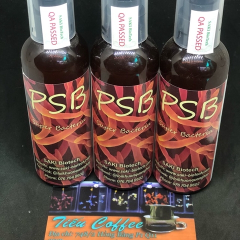 Vi Khuẩn Quang Hợp PSB - thiết lập nhanh hệ vi sinh cho hồ cá