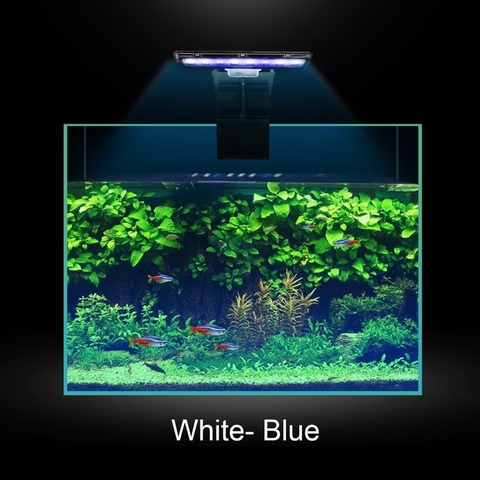 Đèn Led kẹp  M180 chuyên dụng cho hồ cá