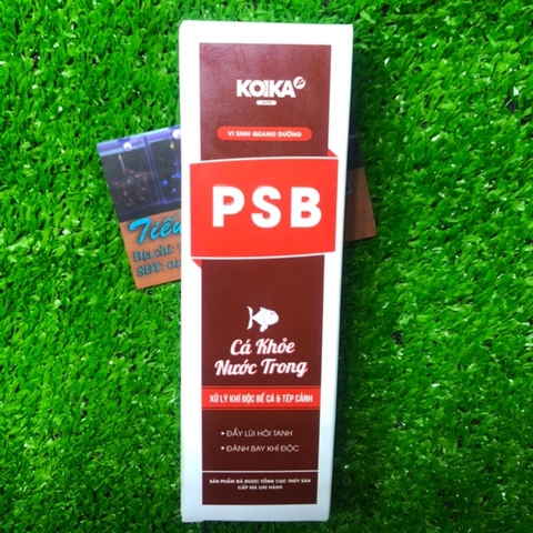 KOIKA PSB - Vi Sinh Quang Dưỡng, chuyên xử lý khí độc bể cá