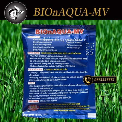 Men vi sinh BIOnAQUA-MV nuôi cá ít thay nước, làm trong nước bể cá