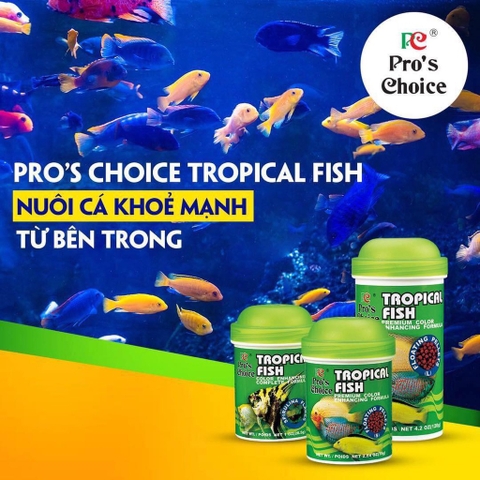 Thức Ăn Cá Ông Tiên, Cá Thần Tiên TROPICAL FISH Pro Choice - dạng Vẩy Lá, Cá dễ ăn, dễ hấp thu