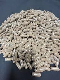 Artemia nước ngọt - viên con nhộng, dễ dàng ấp nở và nuôi sinh khối