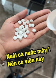 10 Viên Khử Clo Đậm Đặc - 1 viên dùng cho 100 lít nước - Khử clo, ổn định nước