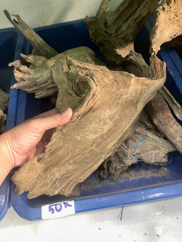 Lũa Gỗ Lũa Rừng Lũa Thủy Sinh - Trang Trí Hồ Cá Thiết Kế Layout cho Hồ Thủy Sinh