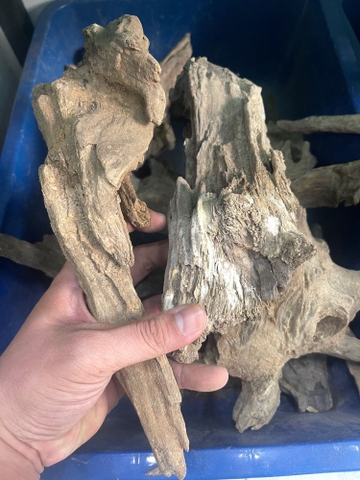 Lũa Gỗ Lũa Rừng Lũa Thủy Sinh - Trang Trí Hồ Cá Thiết Kế Layout cho Hồ Thủy Sinh