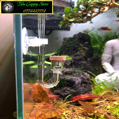 Cốc Sủi CO2 EBI-VN, Cốc Sủi Siêu Mịn dạng Gốm và Acrylic Cho Hồ Cá Thủy Sinh