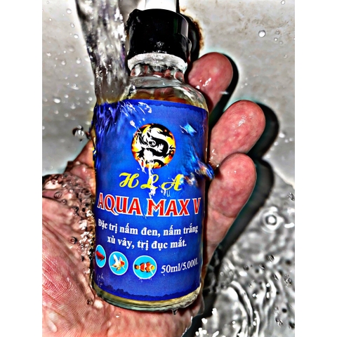 AQUA MAX V - Chuyên Sử Dụng Trong Các Trường Hợp Cá Bị Xù Vẩy, Xuất Huyết, Nấm Trắng