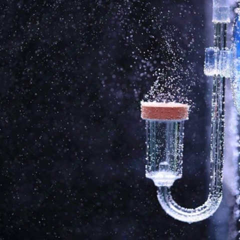 Cốc Sủi CO2 EBI-VN, Cốc Sủi Siêu Mịn dạng Gốm và Acrylic Cho Hồ Cá Thủy Sinh