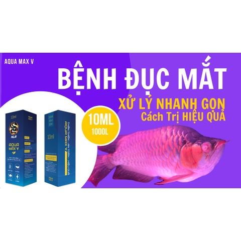 AQUA MAX V - Chuyên Sử Dụng Trong Các Trường Hợp Cá Bị Xù Vẩy, Xuất Huyết, Nấm Trắng