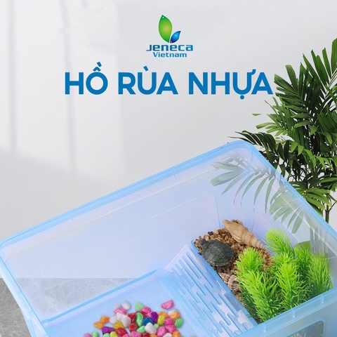 Hồ Nhựa Nuôi Rùa Chuyên Dụng