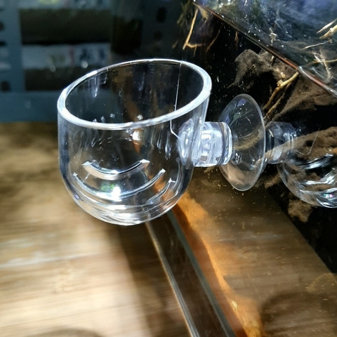 Cốc Đựng Trùng Chỉ - Cốc Trồng Thủy Sinh - Phểu Thủy Sinh Cho Hồ Cá