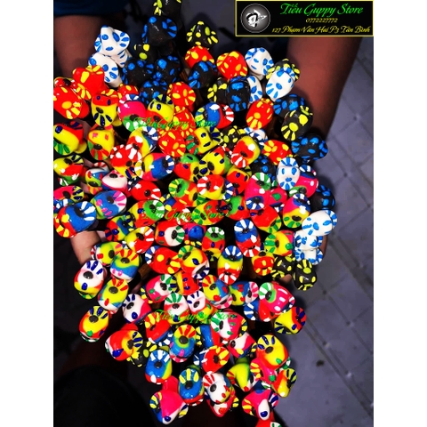 Cây Kè Cá Betta - Huấn Luyện, Giúp Cá Sung Khỏe Hơn (Giao Mẫu Ngẫu Nhiên)