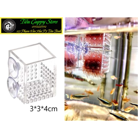 Rổ Trùng Chỉ Mica - Cốc cho Cá ăn Trùng Chỉ chất liệu Mica