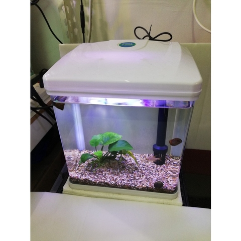 Bể Cá Nguyên Bộ SOBO - Tích Hợp sẵn Lọc và Đèn - T240F - T290F - T390F - T490F