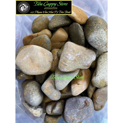 1 Kg Đá Cuội Thiên Nhiên - Trang Trí, Làm Nền Hồ, Bonsai, Hòn Non Bộ, Tiểu Cảnh....