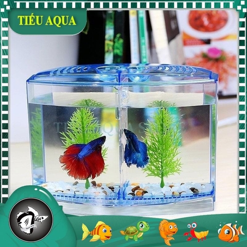 Lồng đẻ Guppy kết hợp Keo show Betta 2 ngăn (Kích thước 18x9x12cm)