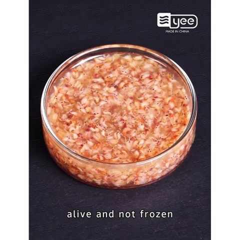 Artemia Sinh Khối đóng chai - Artemia Thanh Trùng ăn liền - Thức ăn dinh dưỡng cho nhiều dòng cá cảnh