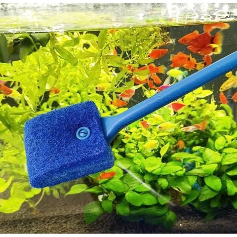 Cây Chà Hồ Cọ Rửa Bể Cá - Size 23cm và 40cm