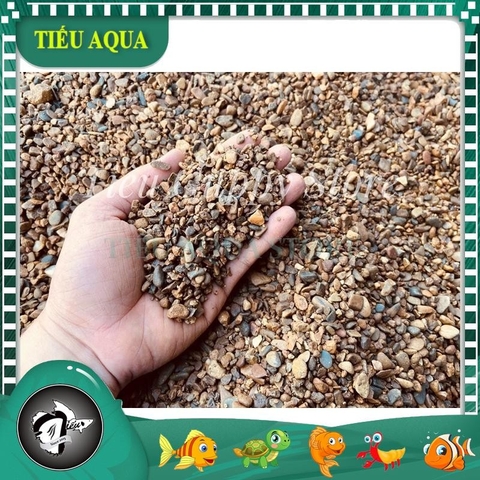 Sạn Suối Chuyên Dụng Trải Nền Hồ Cá Thuỷ Sinh, Hồ Biotop