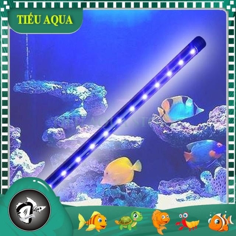 Đèn Led T4 Chìm Dưới Nước Giá Rẻ cho Bể Cá Cảnh - Nhiều màu sắc, Nhiều Kích Thước