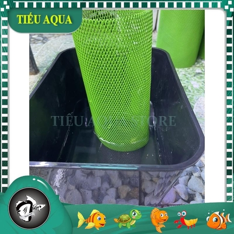 Lồng đẻ tròn Giá Rẻ cho cá Guppy