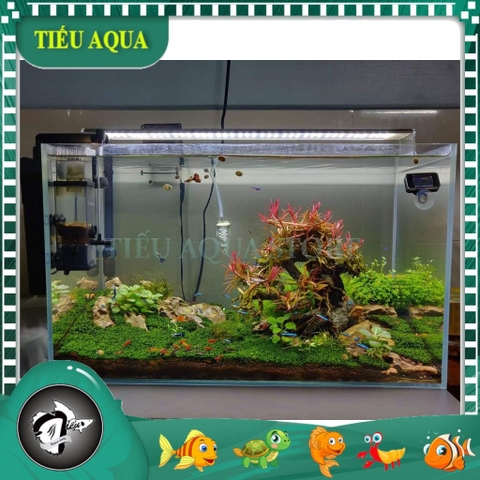Hồ Cá Kính Siêu Trong - Bể Cá Siêu Trong - Hàng Nhập Khẩu