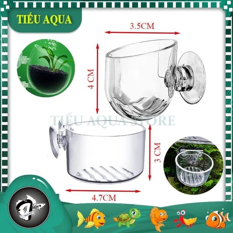 Cốc Trồng cây Thủy Sinh mini - Cốc Đựng trùng chỉ cho cá ăn