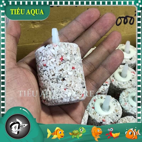 Combo 2 cục sủi mè cỡ đại sủi oxy cho hồ cá