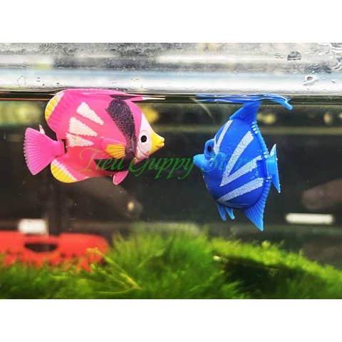 Cá Nhựa - Trang Trí Bể Cá, Hồ Cá Cảnh Thêm Màu Sắc (Mẫu chọn ngẫu nhiên)