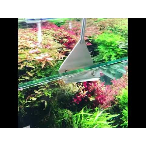 Dao Cạo Rêu Inox Màu Đen Chuyên Dùng Cho Hồ Thủy Sinh (Tặng kèm 5-10 lưỡi dao)