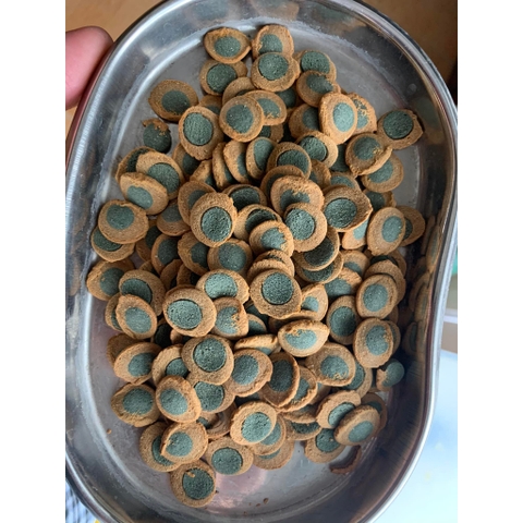 Cám Tetra PlecoWafers - Thức Ăn Chuyên Dụng Cho Cá Pleco, Cá Chuột, Cá Tầng Đáy