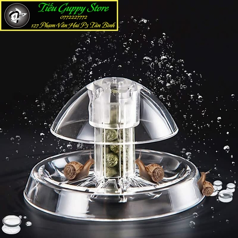 Dụng Cụ Bẫy Ốc Hại Trong Hồ Thủy Sinh, Hồ Cá Cảnh